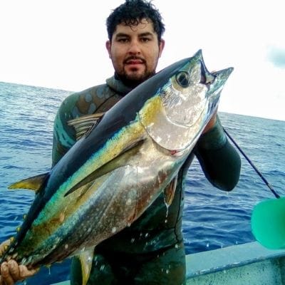 cedros fishing tours in baja