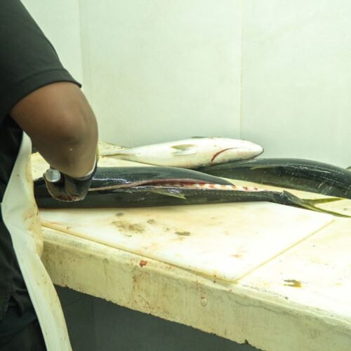 cedros fish gutting