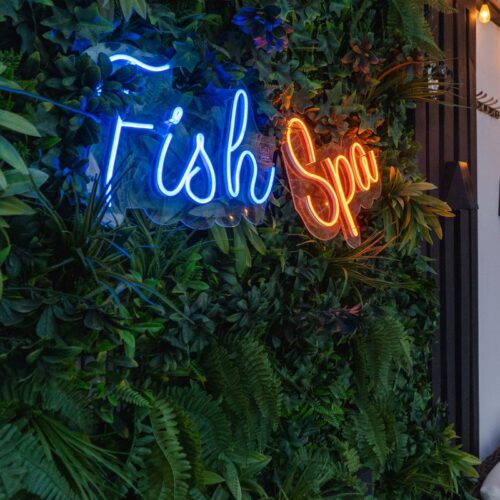 cedros fish spa