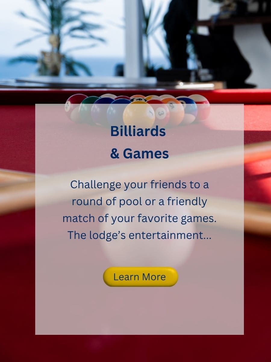 new billiards and games