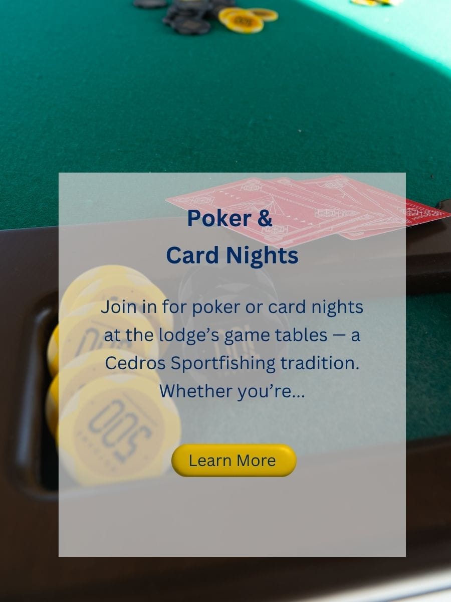 new poker and card nights