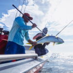 What to Expect on a Cedros Island Sportfishing Trip First-Time Guest Guide